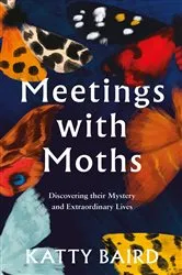 Book cover of Meetings with Moths by Unknown