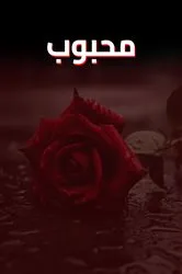 Book cover of Mehboob by Syed Mudassir Ali Zaidi (Musawwir)