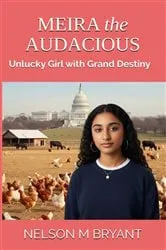 Book cover of Meira the Audacious by Nelson M Bryant