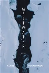 Book cover of Meltwater by Claire Wahmanholm