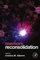 Book cover of Memory Reconsolidation by Cristina M. Alberini