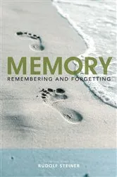 Book cover of Memory by Alison Winter