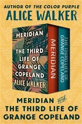 Book cover of Meridian and The Third Life of Grange Copeland by Unknown