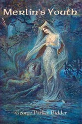 Book cover of Merlin's Youth by George Parker Bidder
