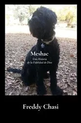 Book cover of Meshac by Freddy Chasi