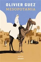 Book cover of Mesopotamia by L. Delaporte
