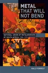 Book cover of Metal that Will not Bend by Kally Forrest