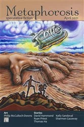 Book cover of Metaphorosis April 2021 by B. Morris Allen