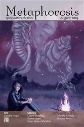 Book cover of Metaphorosis August 2019 by B. Morris Allen