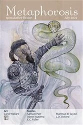 Book cover of Metaphorosis July 2022 by B. Morris Allen