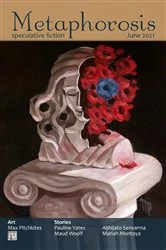 Book cover of Metaphorosis June 2021 by B. Morris Allen