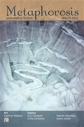 Book cover of Metaphorosis March 2021 by B. Morris Allen