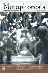 Book cover of Metaphorosis May 2019 by B. Morris Allen