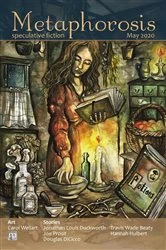 Book cover of Metaphorosis May 2020 by B. Morris Allen