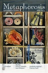 Book cover of Metaphorosis May 2023 by B. Morris Allen
