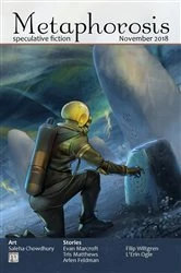 Book cover of Metaphorosis November 2018 by B. Morris Allen