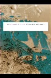 Book cover of Meteoric Flowers by Elizabeth Willis