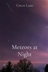 Book cover of Meteors at Night by Gwen Lane