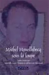 Book cover of Michel Houellebecq sous la loupe by Murielle Lucie Clement