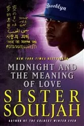 Book cover of Midnight and the Meaning of Love by Sister Souljah