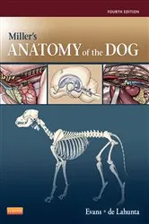 Book cover of Miller's Anatomy of the Dog - E-Book (4th ed.) by Howard E. Evans PhD