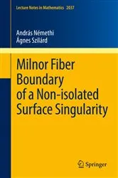 Book cover of Milnor Fiber Boundary of a Non-isolated Surface Singularity by Unknown