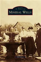 Book cover of Mineral Wells by Sue Seibert