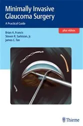 Book cover of Minimally Invasive Glaucoma Surgery by Brian Francis