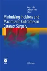 Book cover of Minimizing Incisions and Maximizing Outcomes in Cataract Surgery by Jorge L. Alió y Sanz