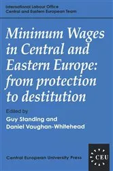 Book cover of Minimum Wages in Central and Eastern Europe by Guy Standing