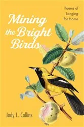 Book cover of Mining the Bright Birds by Jody L. Collins