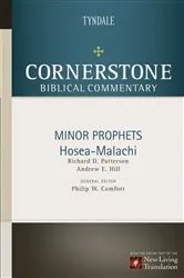 Book cover of Minor Prophets: Hosea through Malachi by Andrew Hill