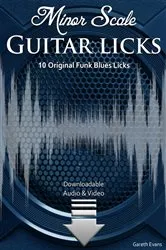 Book cover of Minor Scale Guitar Licks by Gareth Evans