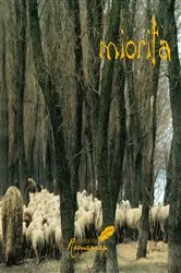 Book cover of Miorita by Ernest Latham