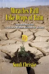 Book cover of Miracles Fall Like Drops of Rain by Sandi Christie