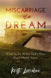 Book cover of Miscarriage of a Dream by Kristi Larrabee