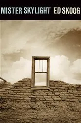 Book cover of Mister Skylight by Ed Skoog