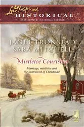 Book cover of Mistletoe Courtship by Janet Tronstad
