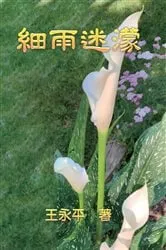 Book cover of Misty Drizzle by Charles Y. Wang