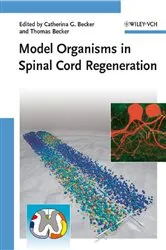 Book cover of Model Organisms in Spinal Cord Regeneration by Catherina G. Becker