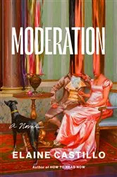 Book cover of Moderation by Elaine Castillo