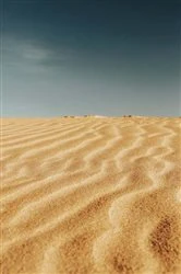 Book cover of MODERN MAGICS by Tianyu (Tony) Zhu