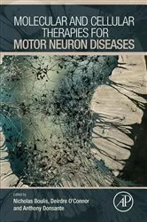 Book cover of Molecular and Cellular Therapies for Motor Neuron Diseases by Nicholas M Boulis