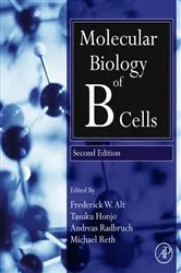 Book cover of Molecular Biology of B Cells (2nd ed.) by Tasuku Honjo