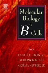 Book cover of Molecular Biology of B Cells by Tasuku Honjo