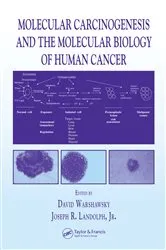 Book cover of Molecular Carcinogenesis and the Molecular Biology of Human Cancer by David Warshawsky