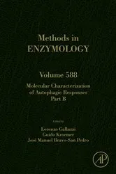 Book cover of Molecular Characterization of Autophagic Responses Part B by Lorenzo Galluzzi