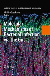 Book cover of Molecular Mechanisms of Bacterial Infection via the Gut by Chihiro Sasakawa