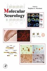Book cover of Molecular Neurology by Stephen Waxman