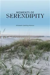 Book cover of Moments of serendipity by Elizabeth Moreno